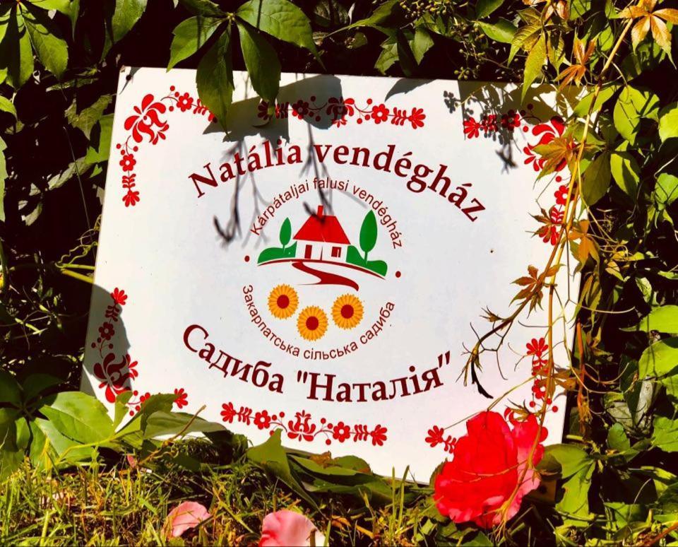 فندق Csetfalvatفي  Natalia Vendeghaz المظهر الخارجي الصورة